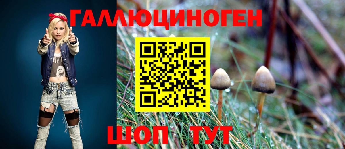Галлюциногенные грибы мухоморы  Вход с VPN  Прохладный  Галлюциногенные грибы GOLDEN TEACHER 